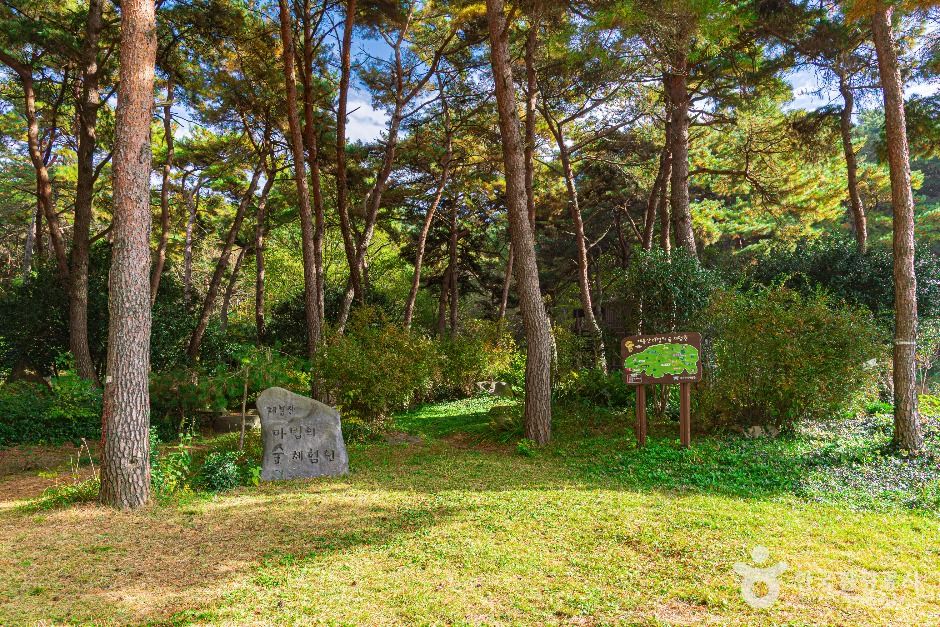 제봉산 마법의 숲 체험원