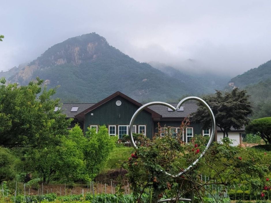 문경오미자체험촌