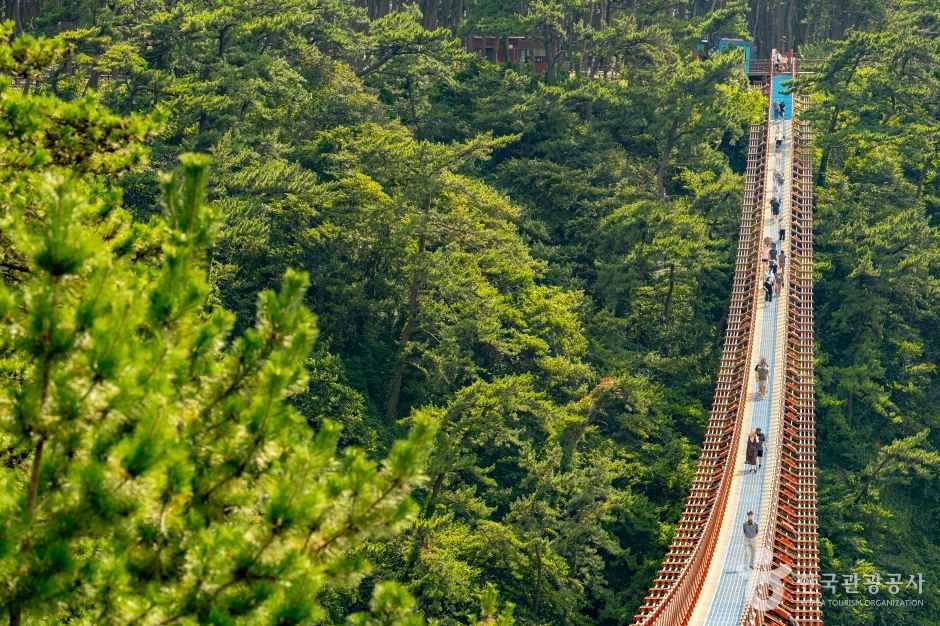 대왕암공원 출렁다리