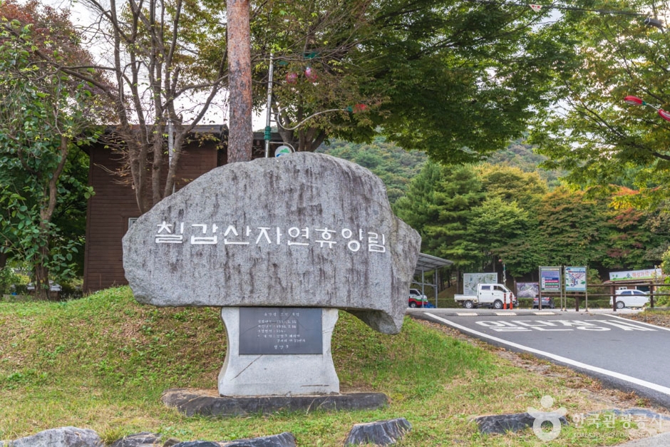 칠갑산자연휴양림