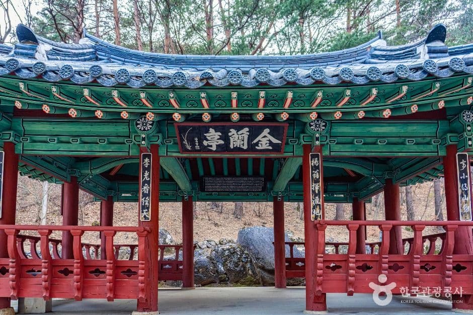 금란정